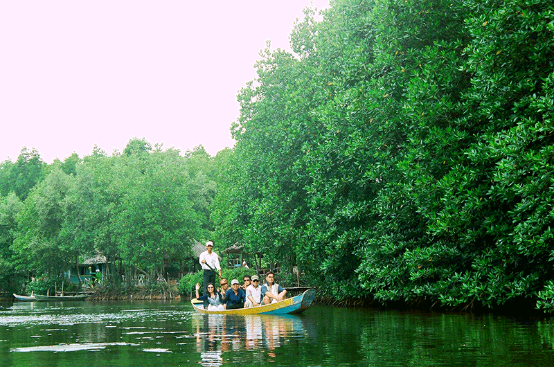 Tour Cần Giờ - Đảo Khỉ