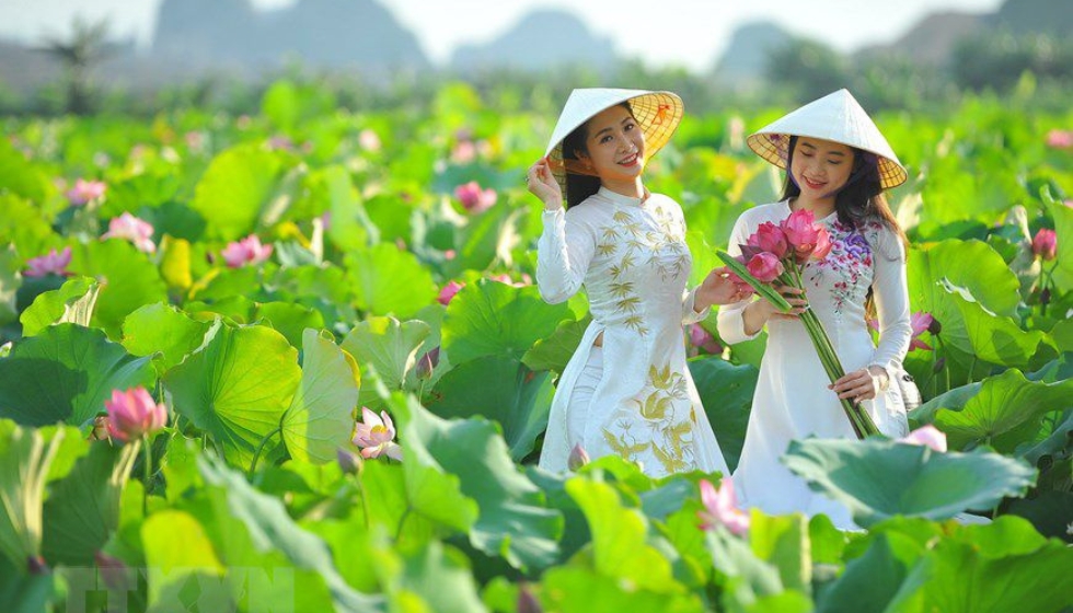 Tour Đồng Tháp Mùa Sen Nở