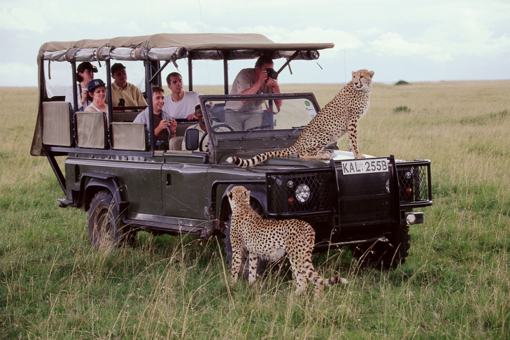 Tour Kenya Safari 7N6Đ